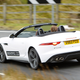 Illustration for article titled This Is Your Jaguar F-Type Mega Gallery